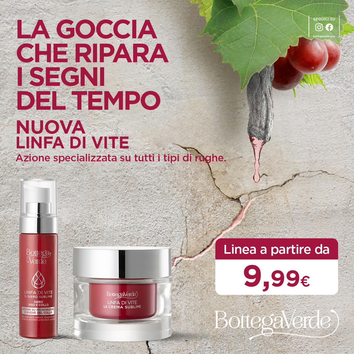 Centro Commerciale Euro Torri | Promozione Nuova Linfa di Vite