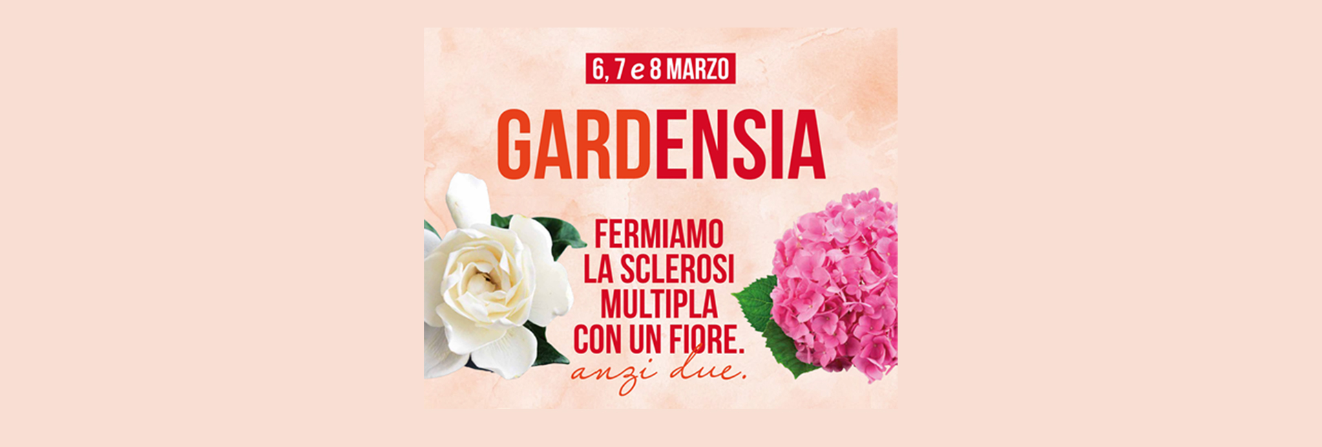 Centro Commerciale Euro Torri