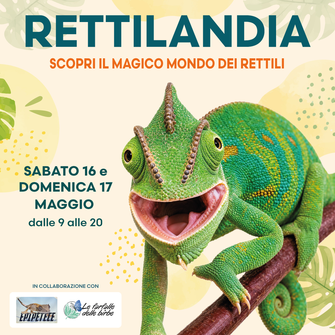 Centro Commerciale Euro Torri | RETTILANDIA<br>Scopri il magico mondo dei rettili